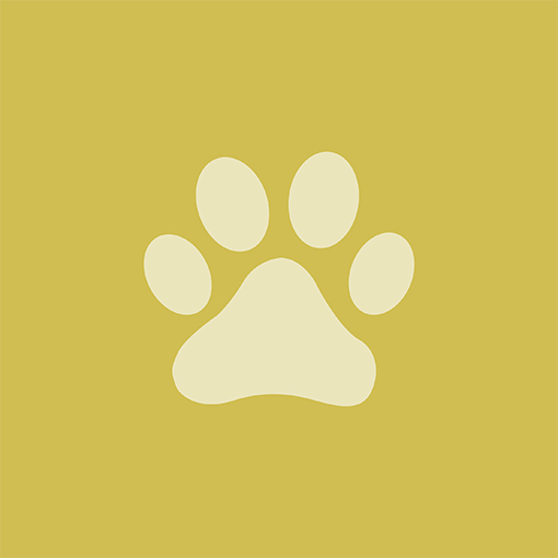 Pet Care Icon - web Pet Care Icon - web