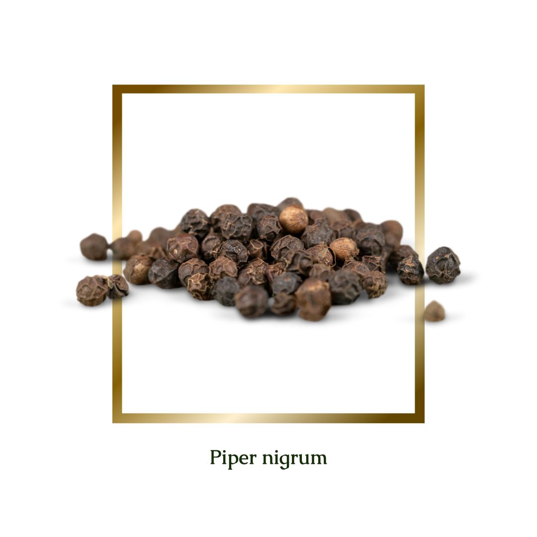 Black Pepper