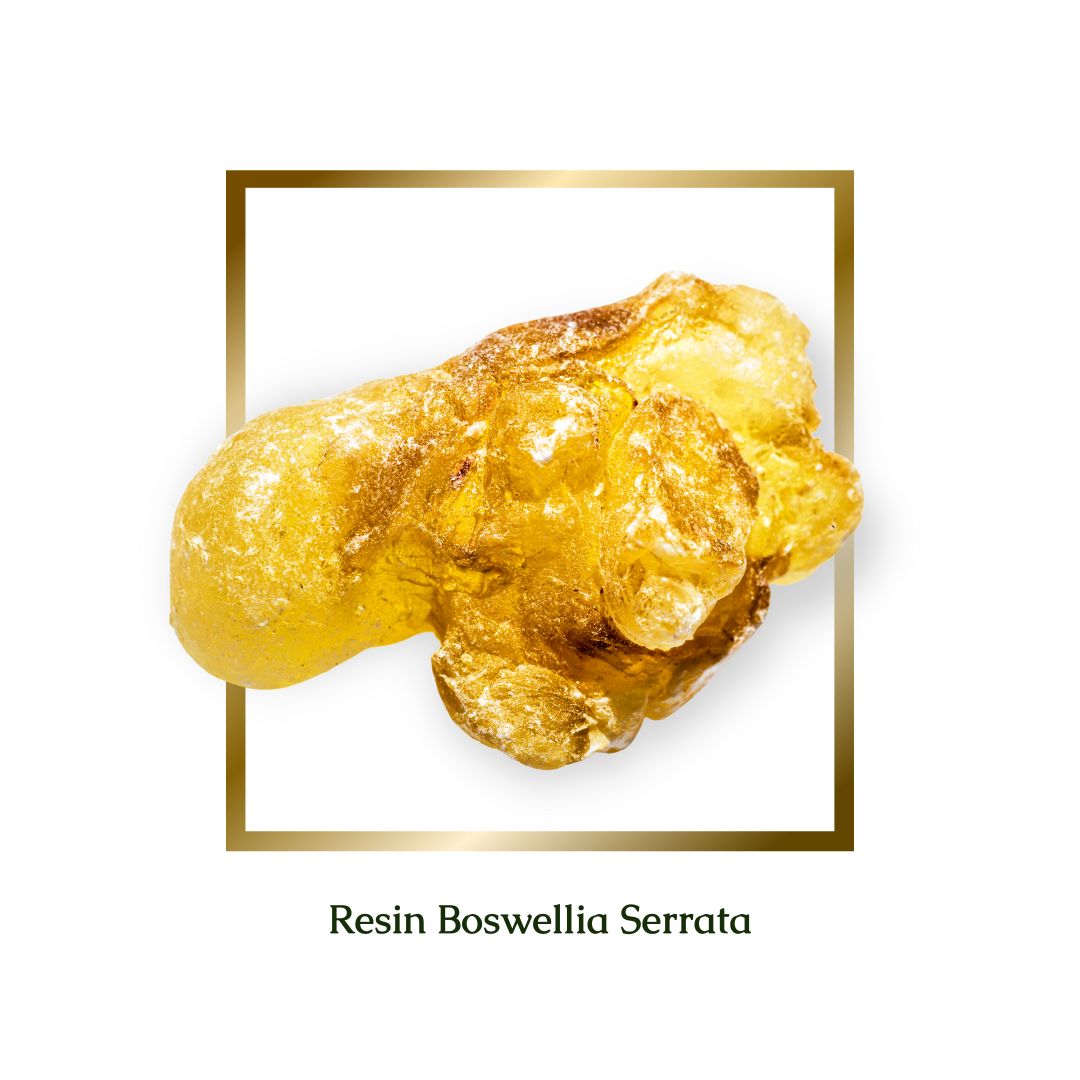 Boswellia