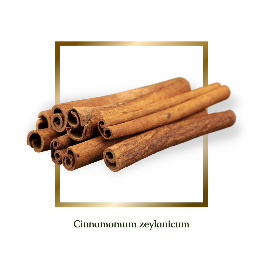 Cinnamon