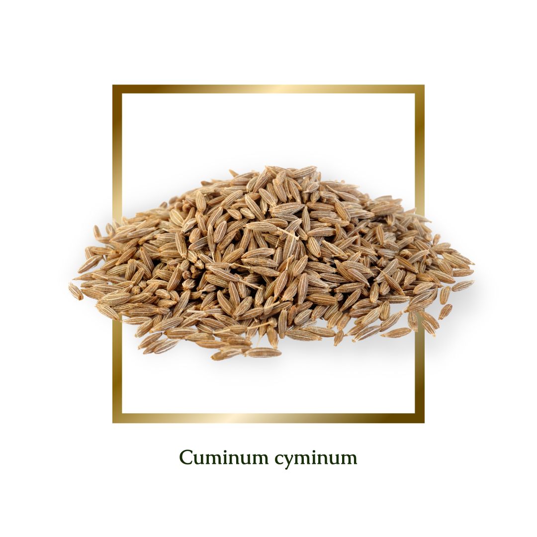 Cumin