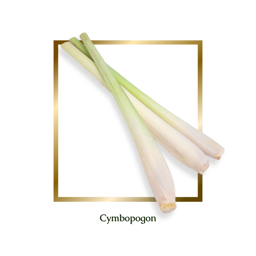 Lemongrass