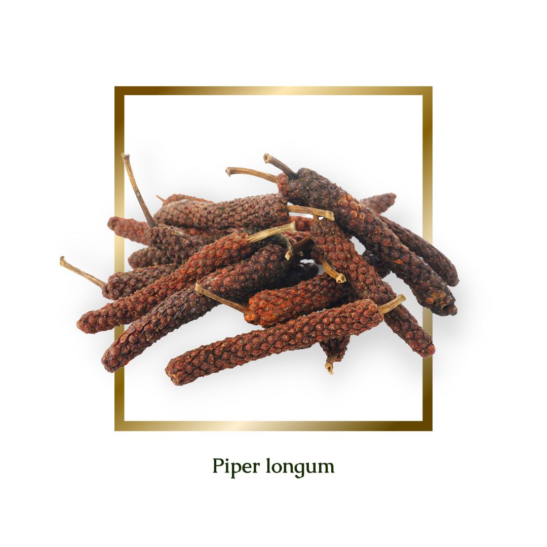 Long Pepper