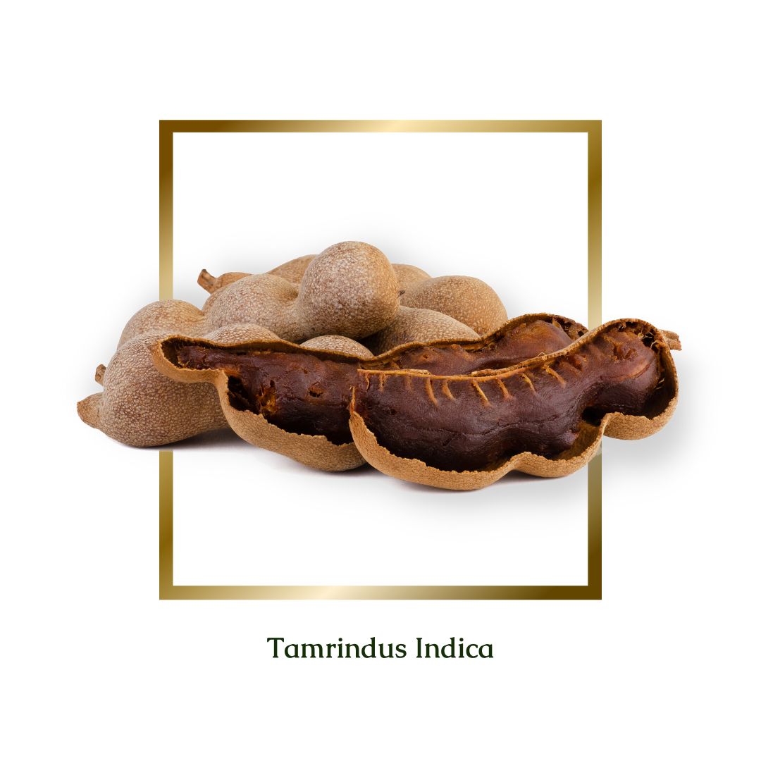 Tamarind