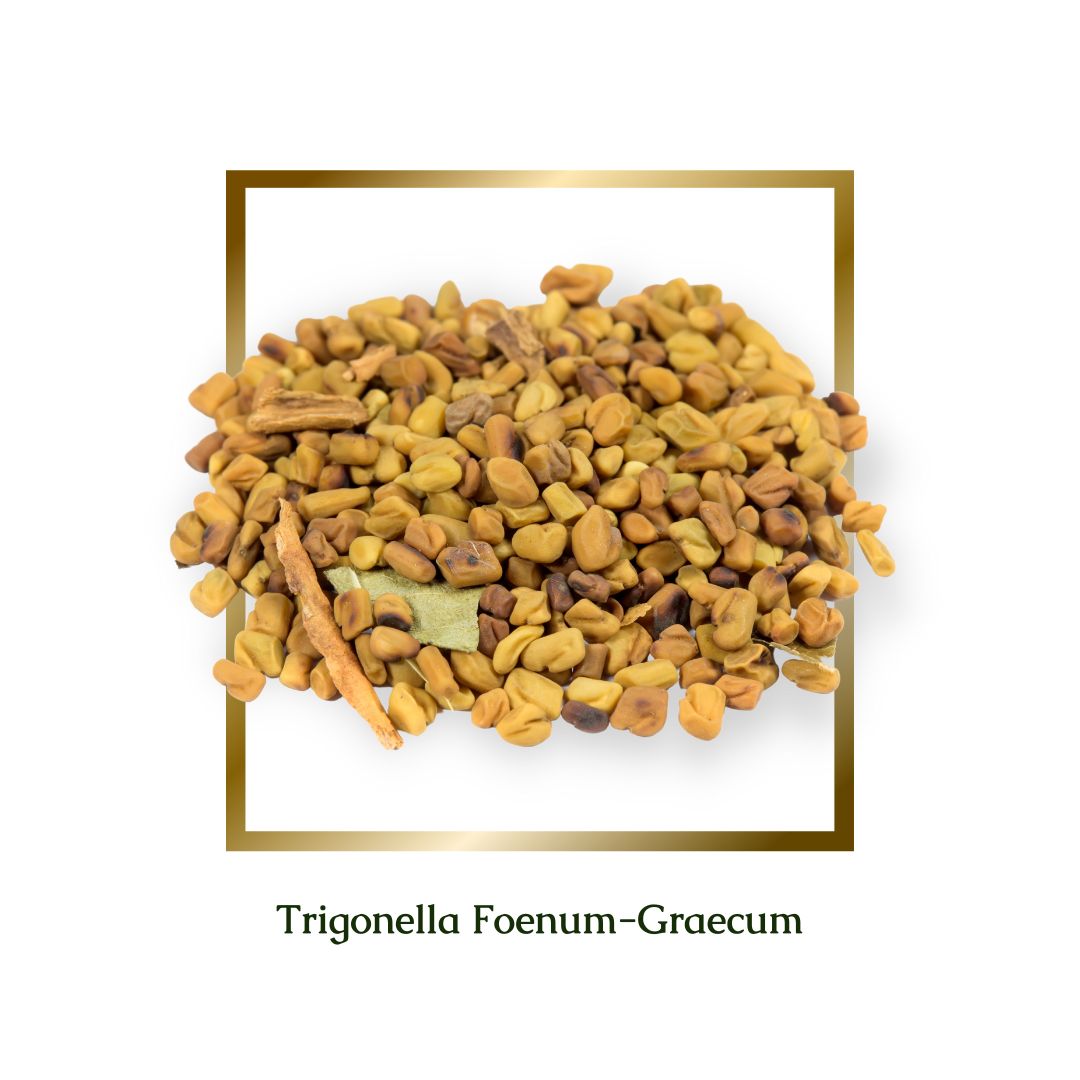 Fenugreek